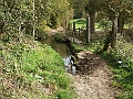 futur trail 026